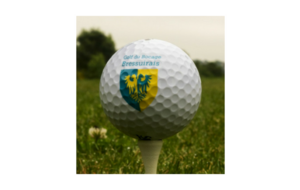 Promotion régionale U 16 filles et garçons Golf de PESSAC