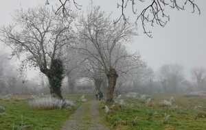 61e42dd47544c_GIVRE2.jpg