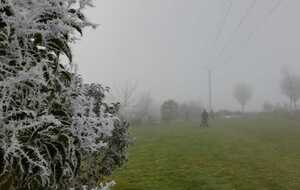 61e42dd515425_GIVRE3.jpg