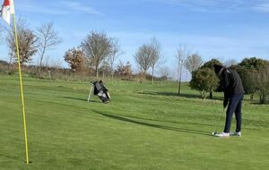 65b6affba6210_3Leputting.jpg